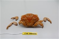 藏品(鱗形斜紋蟹)的圖片
